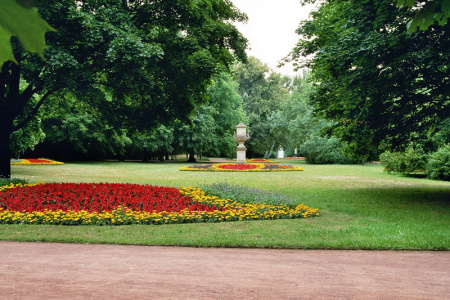 Blumen im Park. Foto: U. u. H. Drechsel.