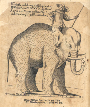 Der erste Jahrmarktselefant 1629   Foto: Wikipedia, gemeinfrei