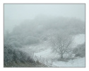 Erster Schnee